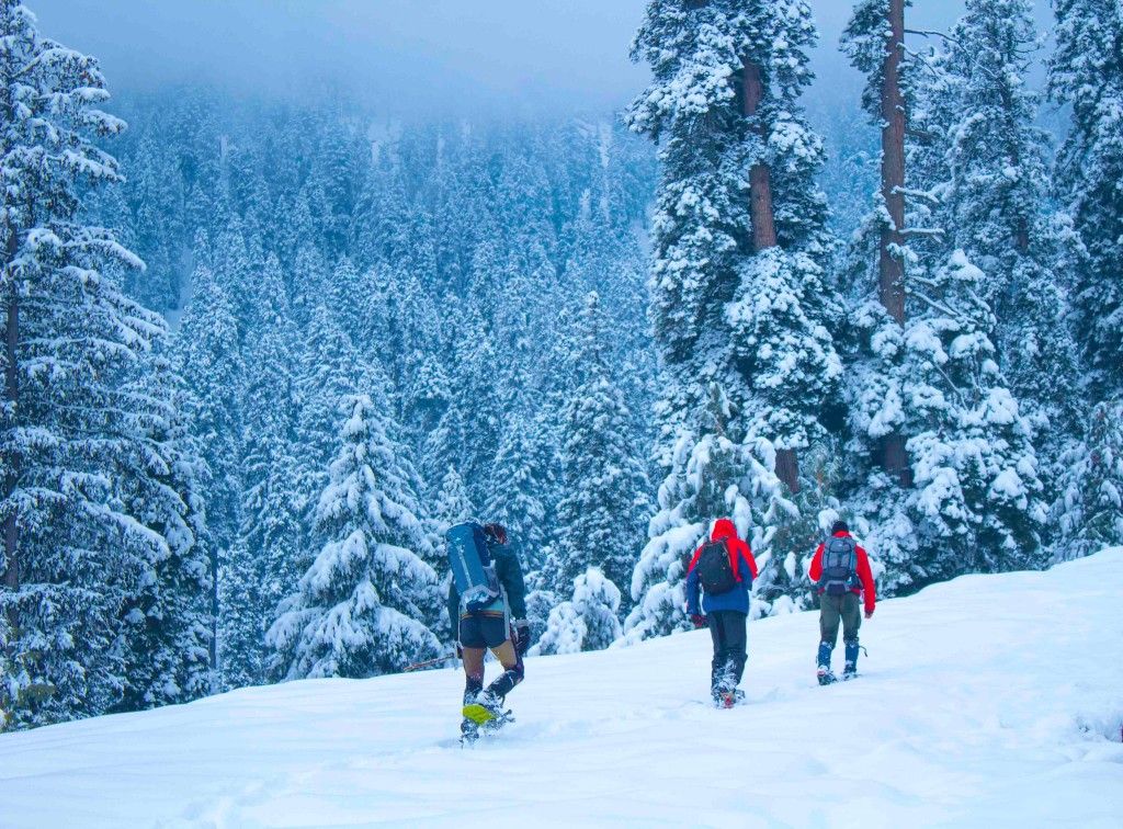 Kashmir Tour Package from Coimbatore 5 Nights/ 6 Days