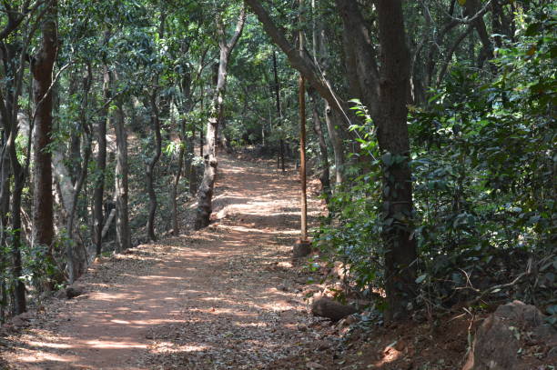 Matheran Tour Package from Thane – 3 Nights/4 Days