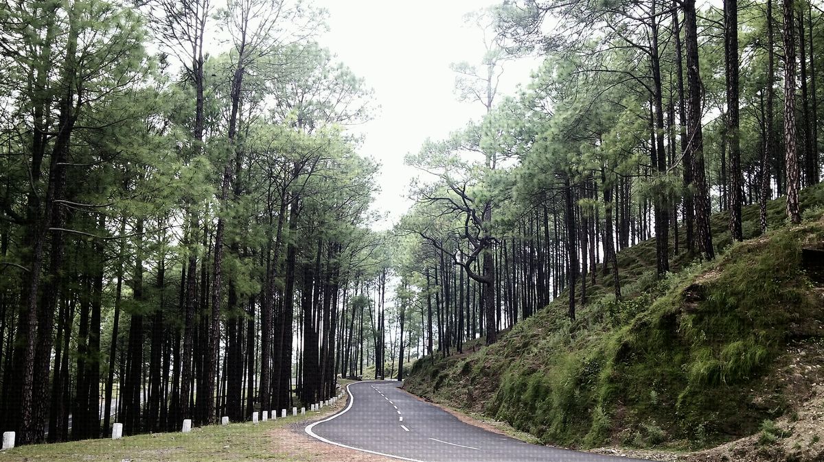 Khirsu Valley Tour Package 2 Nights/ 3 Days