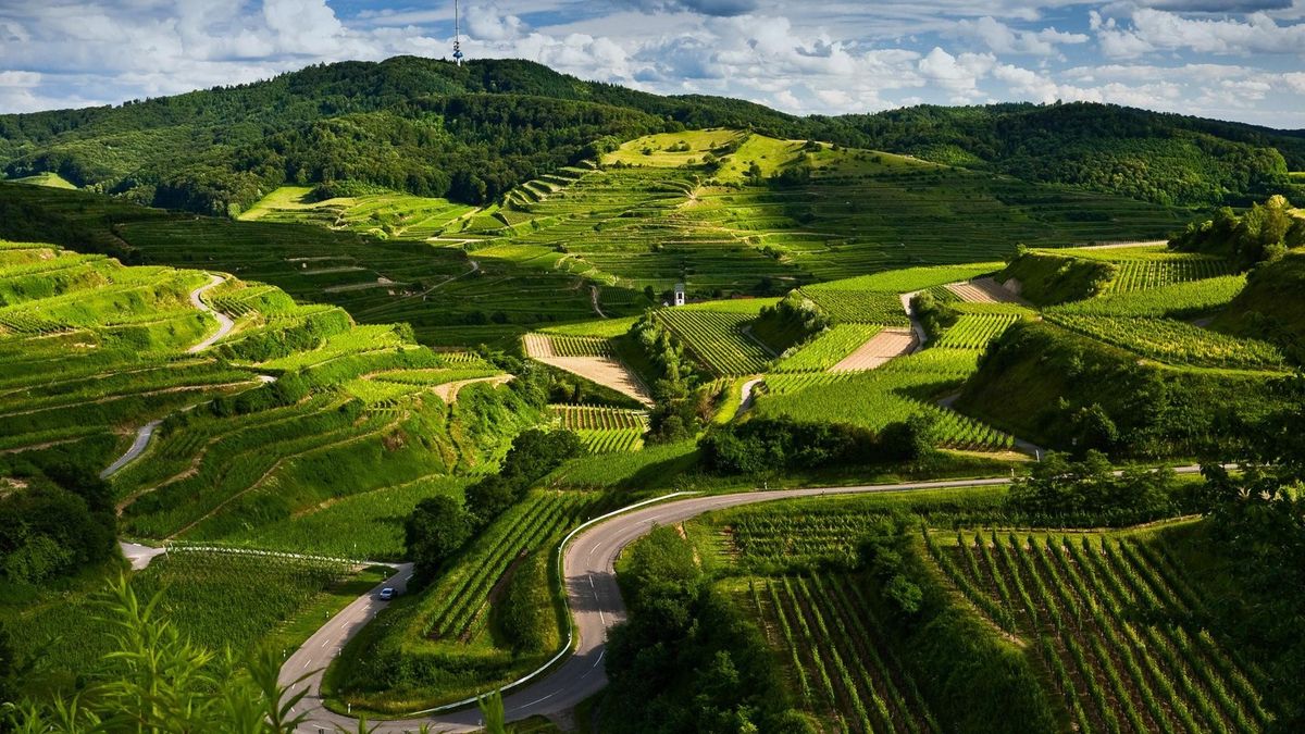Coorg Tour Package 3 Nights/ 4 Days
