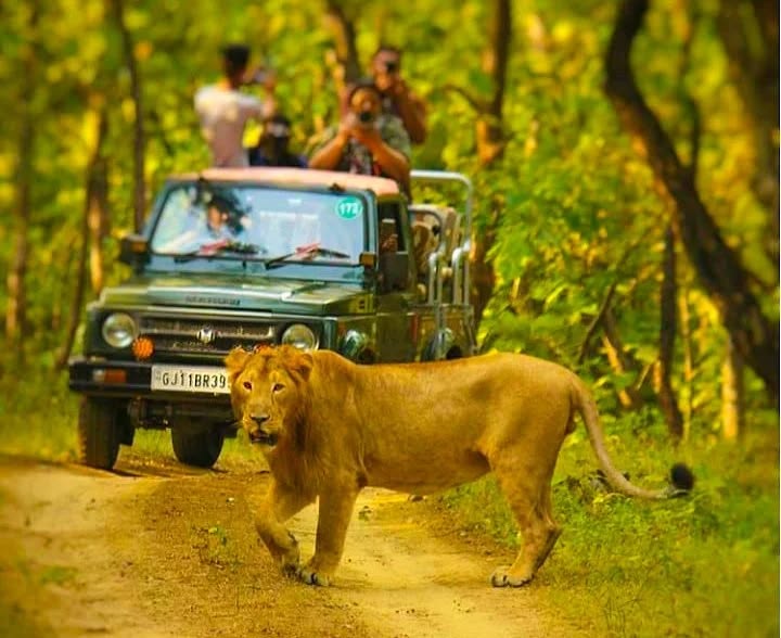 Gir & Somnath Tour Package 4 Nights/ 5 Days