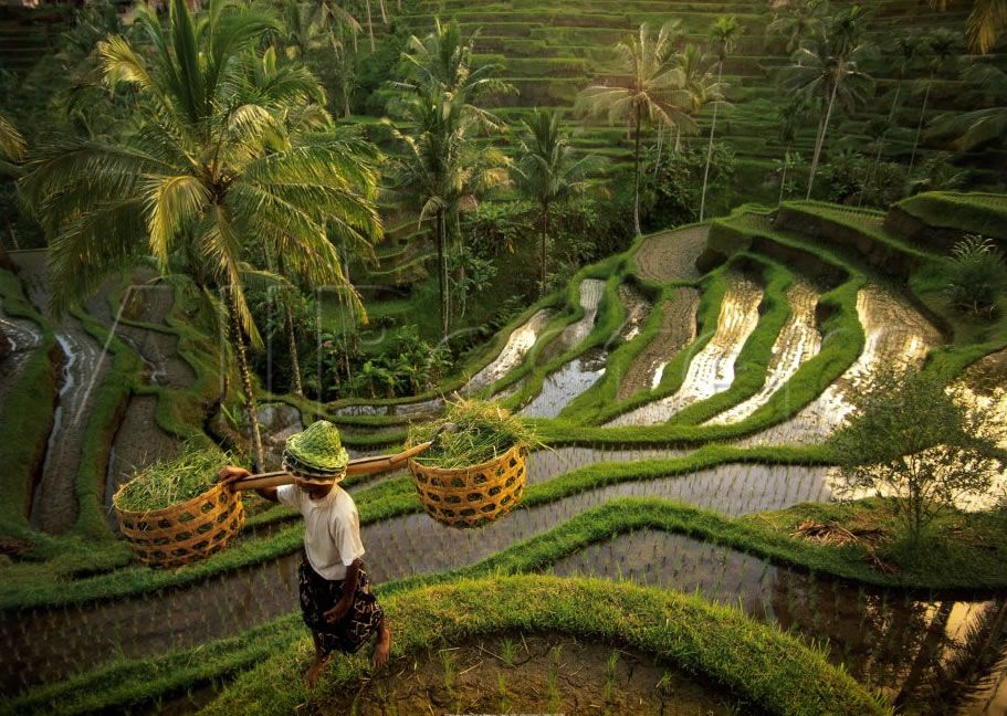 Indonesia Tour Package from Pune 5 Nights/ 6 Days