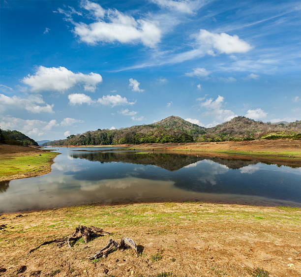 Periyar Wildlife Sanctuary Tour Package 2 Nights/ 3 Days