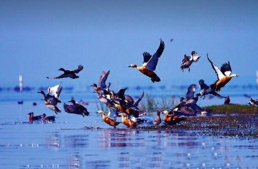 Puri & Chilika Tour Package 4 Nights/ 5 Days 