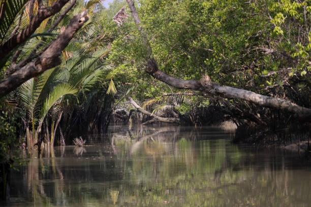 Sundarbans Wildlife & Kolkata Tour Package 4 Nights/ 5 Days