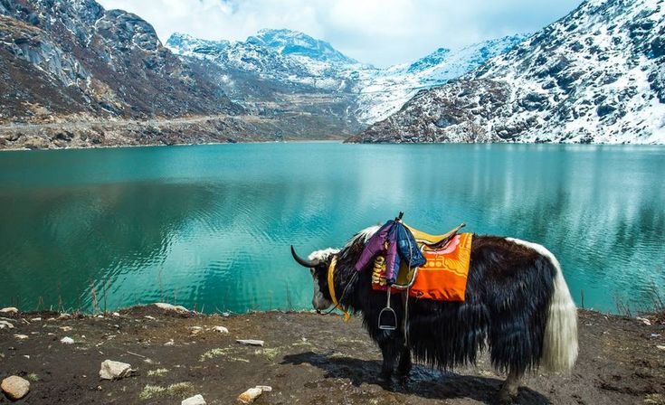 North Sikkim Tour Package from Gangtok 4 Nights/ 5 Days