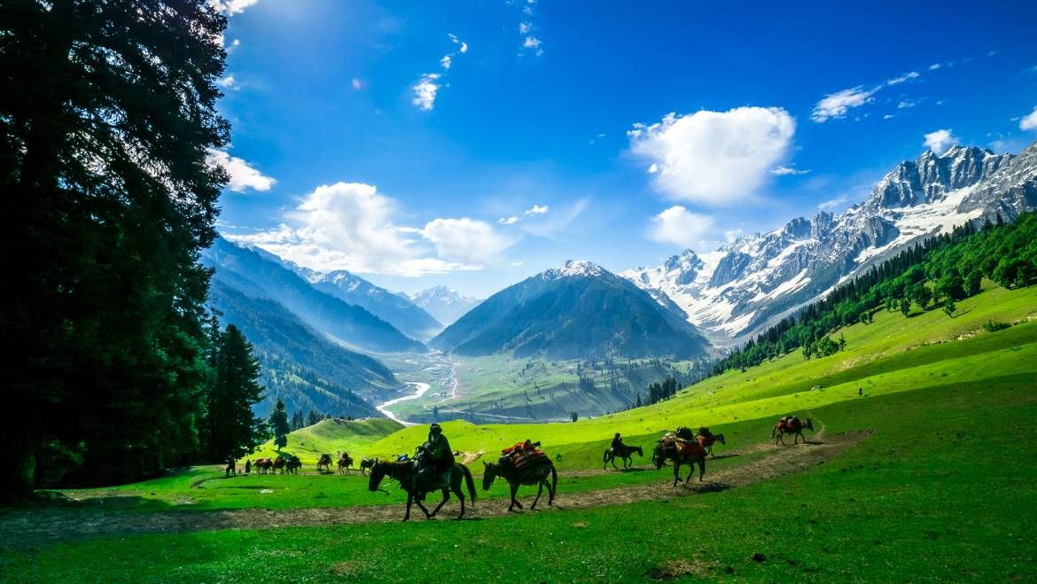 Gulmarg Tour Package from Delhi 4 Nights/ 5 Days