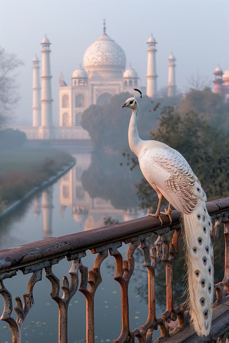 Agra, Delhi & Jaipur Golden Triangle Tour Package – 5 Nights/6 Days