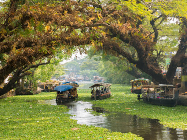 Thekkady & Kochi Tour Package – 4 Nights/5 Days
