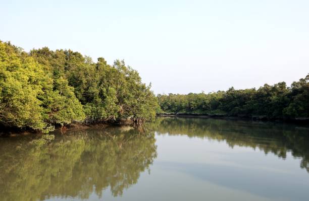 Kolkata, Sundarbans & Digha Tour Package 5 Nights/ 6 Days