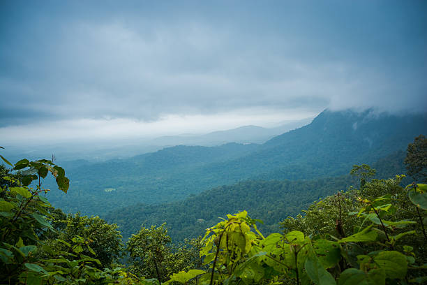 Jog Falls Sirsi Tour Package 2 Nights/ 3 Days