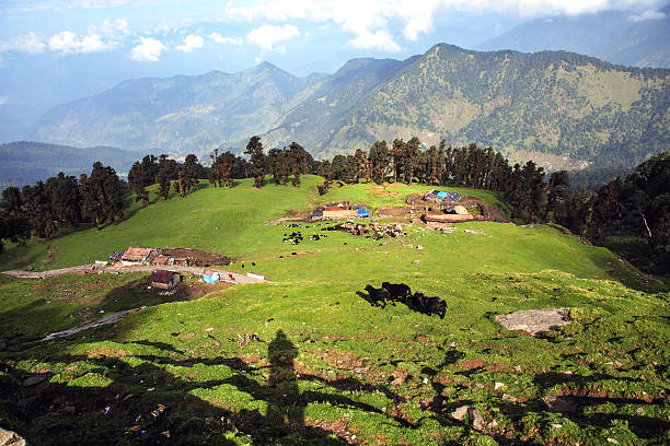 Siliguri & Gangtok Tour Package 3 Nights/ 4 Days