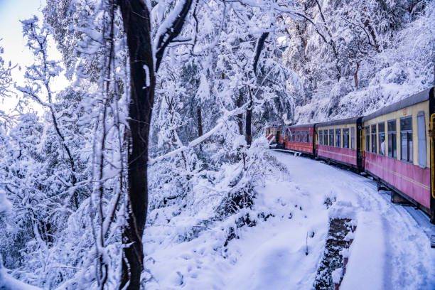 Shimla Manali Tour Package from Ahmedabad 5 Nights/ 6 Days