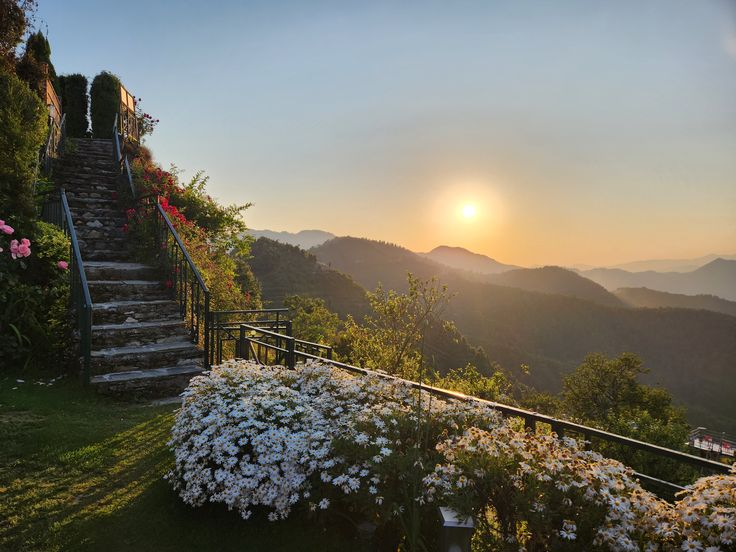 Kanatal & Dhanaulti Tour Package 2 Nights/  3 Days 