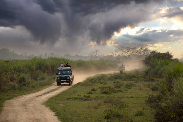 Kaziranga Family Tour Package 2 Nights/ 3 Days