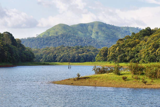 Thekkady Family Tour Package – 3 Nights/4 Days