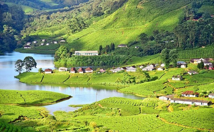 Kerala Tour Package from Ernakulam 4 Nights/ 5 Days