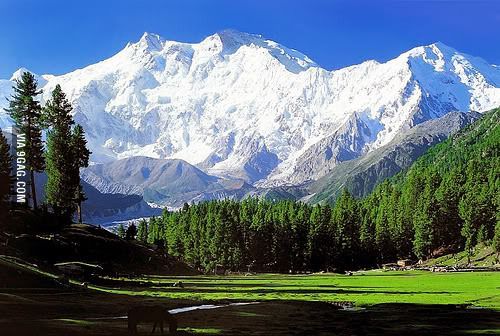 Sonamarg Adventure Tour Package 2 Nights/ 3 Days