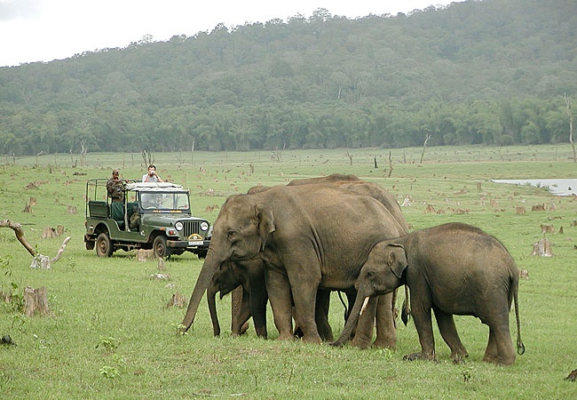 Coorg, Kabini & Nagarhole Tour Package 6 Nights/ 7 Days 