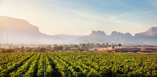Nashik Pilgrimage Tour Package 2 Nights/ 3 Days