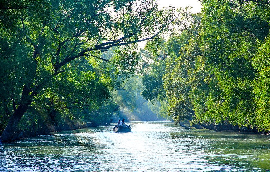Sundarbans Wildlife Tour Package 2 Nights/ 3 Days