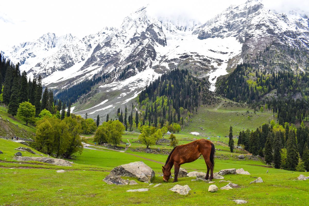 Gulmarg Tour Package for Family 3 Nights/ 4 days