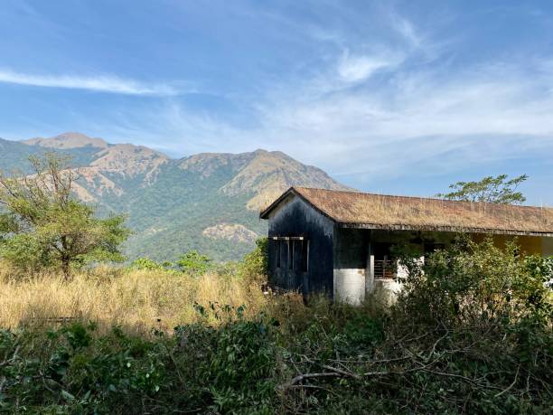 Chikmagalur & Sakleshpur Tour Package 4 Nights/ 5 Days