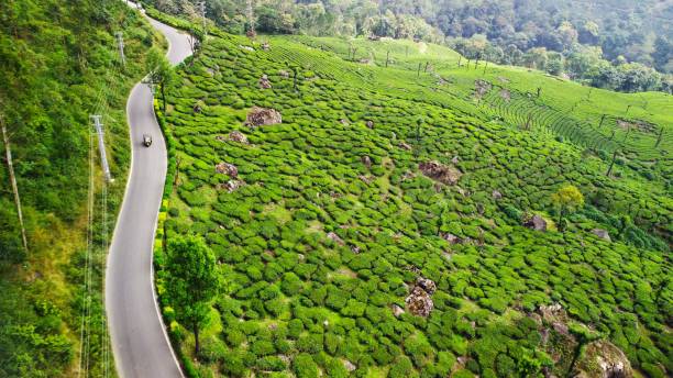 Kochi Tour Package from Trivandrum – 3 Nights/4 Days