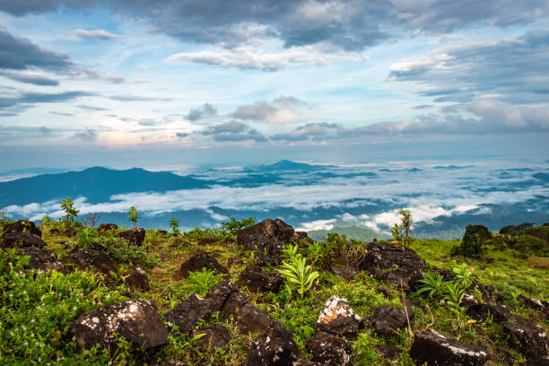 Chikmagalur Tour Package from Chennai – 4 Nights/5 Days
