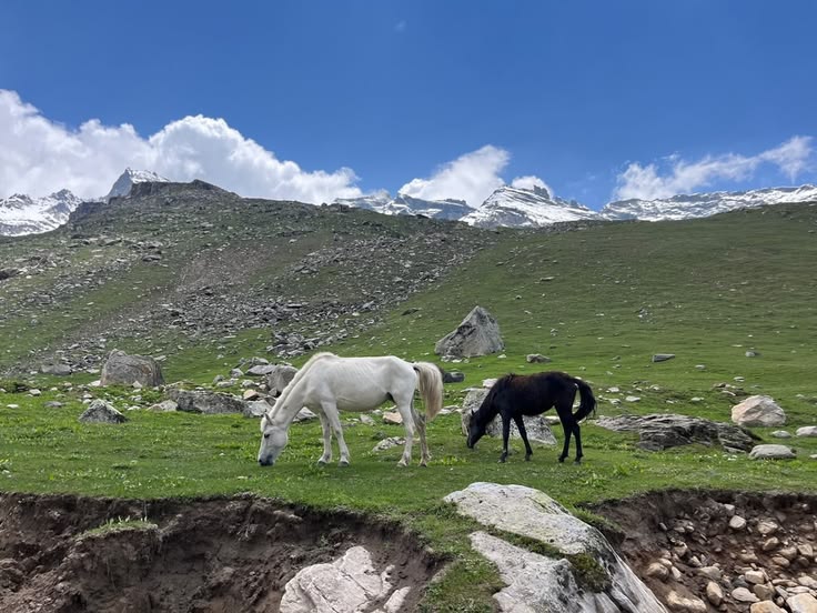 Pelling Family Tour Package 4 Nights/ 5 Days 