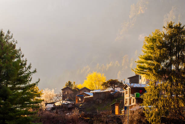 Lachen, Lachung & Yumthang Tour Package 5 Nights/ 6 Days