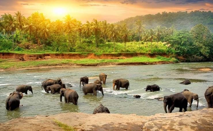 Alleppey & Thekkady Tour Package 4 Nights/ 5 Days