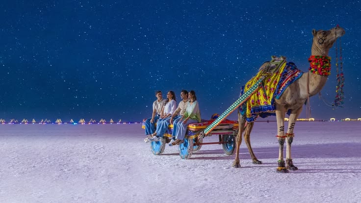 Rann of Kutch Tour Package 3 Nights/ 4 Days