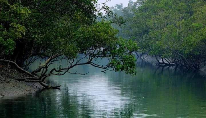 Sundarbans Family Tour Package  2 Nights/ 3 Days