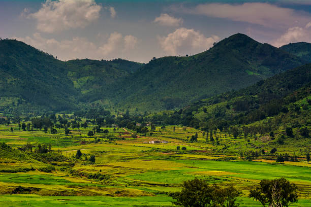 Andhra Pradesh Tour Package for Family 4 Nights/ 5 Days