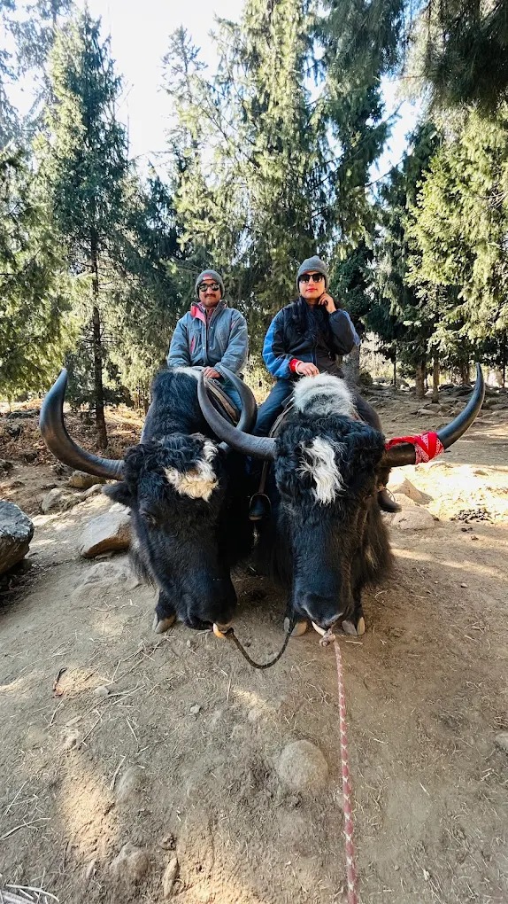  Manali Holiday package for 04 days