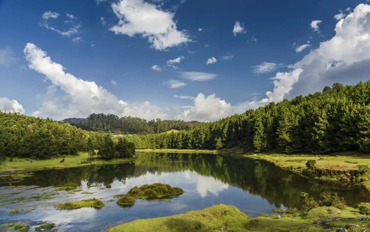 Ooty Coonoor Tour Package 3 Nights/ 4 Days