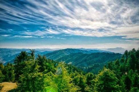 Shimla, Kufri & Mashobra Family Retreat