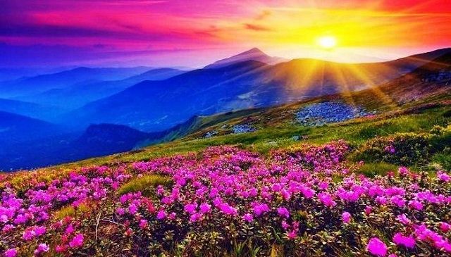 Mussoorie & Rishikesh Tour Package 6 Nights/ 7 Days 