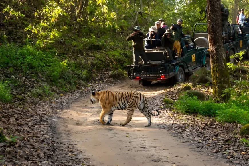 Ooty Mudumalai Tour Package 2 Nights/ 3 days
