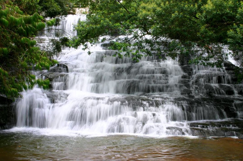 Kodaikanal Tour Package for Couple 3 Nights/ 4 Days
