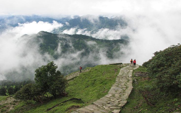 Auli & Chopta Tour Package 4 Nights/ 5 Days