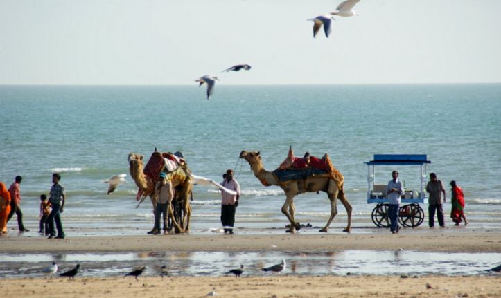 Bhuj, White Rann & Mandvi Tour Package 4 Nights/ 5 Days
