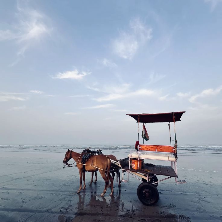 Alibaug Tour Package from Pune 2 Nights/ 3 Days