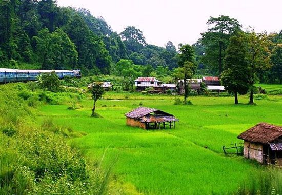Kalimpong & Dooars Tour Package 5 Nights/ 6 Days 