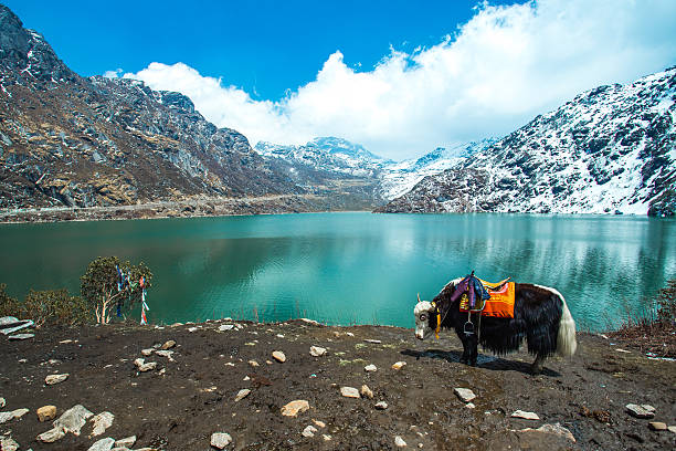 Gangtok & Tsomgo Lake Tour Package 2 Nights/ 3 Days